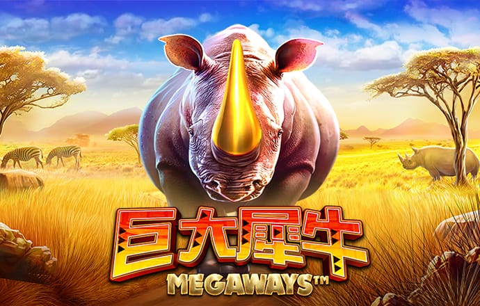 bet9九卅